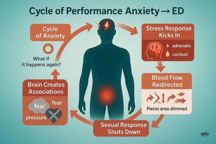 the cycle of performance anxiety causing erectile dysfunction: stress response releases hormones, blood flow redirected, sexual response shuts down, brain creates fear associations, and anxiety worsens erection problems.”
