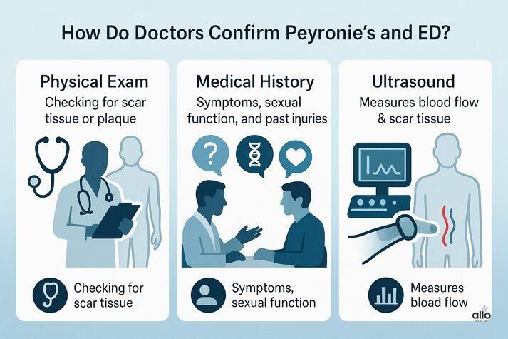 Infographic explaining diagnostic methods for Peyronie’s disease and erectile dysfunction — physical examination, medical history review, and penile Doppler ultrasound.