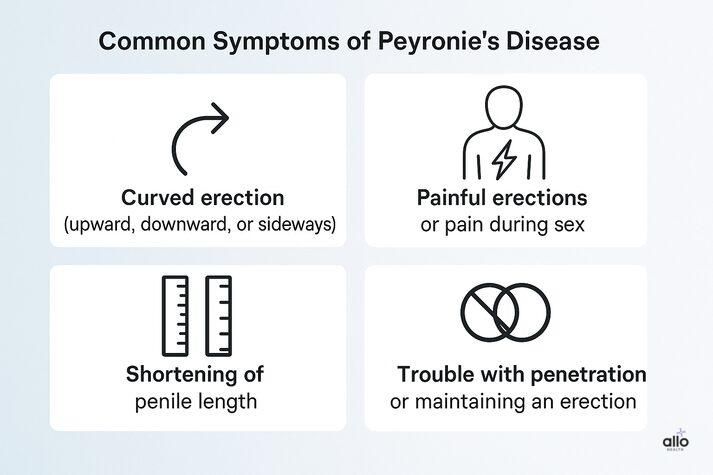 Infographic showing four common symptoms of Peyronie’s disease — curved erection, painful erections, shortening of penile length, and difficulty maintaining an erection.