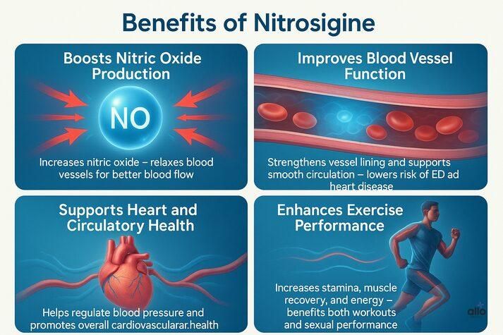 Infographic with four panels showing Nitric Oxide boost, improved blood vessel function, better heart health, and enhanced exercise performance — linking Nitrosigine to improved circulation and erectile function.