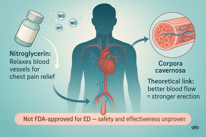 “Diagram showing how nitroglycerin relaxes blood vessels for chest pain relief and the theoretical link between increased blood flow and erections, highlighting that nitroglycerin is not FDA-approved for ED treatment.”