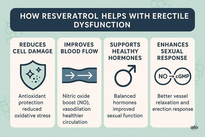 “Infographic explaining how resveratrol supports erectile function: reduces cell damage, improves blood flow through nitric oxide, supports healthy hormones, and enhances erection response. Features shield icons, blood-flow arrows, and NO/cGMP symbols.”
