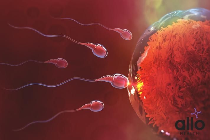 Can Sperm Go Through Layers Of Clothing?