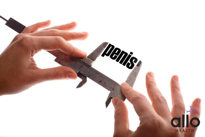 What is Considered a Thick Penis?