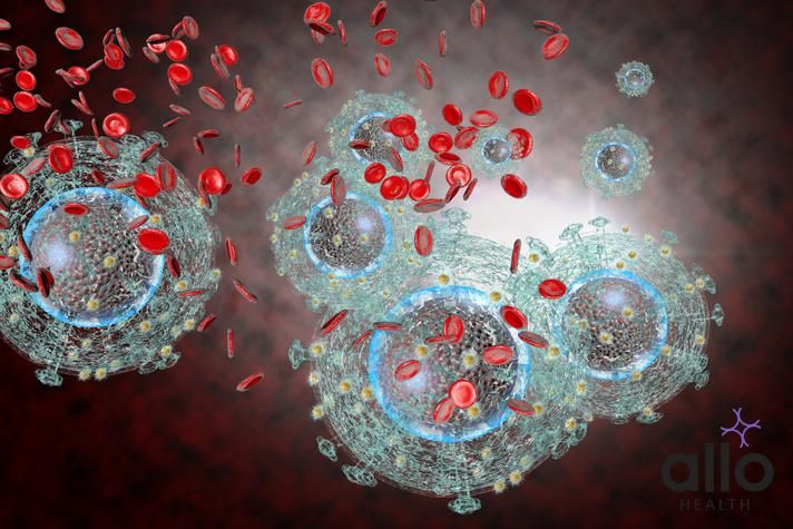 हेपेटाइटिस B का निवारण