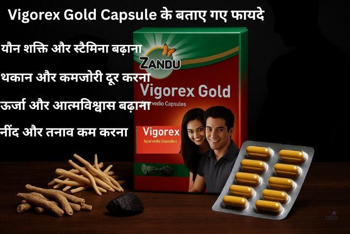 Vigorex Gold Capsule के बताए गए फायदे दिखाता इन्फोग्राफिक — यौन शक्ति और स्टैमिना बढ़ाना, थकान और कमजोरी दूर करना, ऊर्जा और आत्मविश्वास बढ़ाना — साथ में पैकिंग और आयुर्वेदिक जड़ी-बूटियाँ।