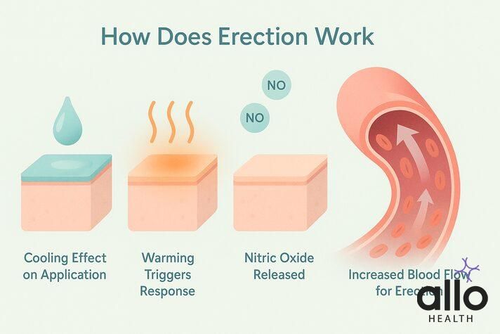 How erection gel works for erectile dysfunction, cooling and warming effect triggering nitric oxide release and blood flow