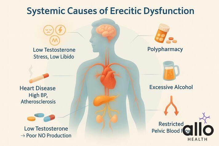 Age and impotence connected to systemic health issues like low testosterone, heart disease, medications, and alcohol use