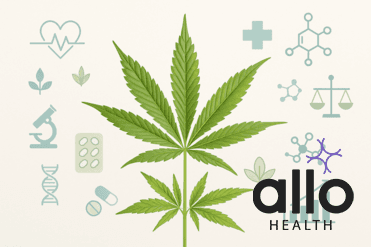 Weed and ED: The Effects of Smoking Cannabis on Sexual Health