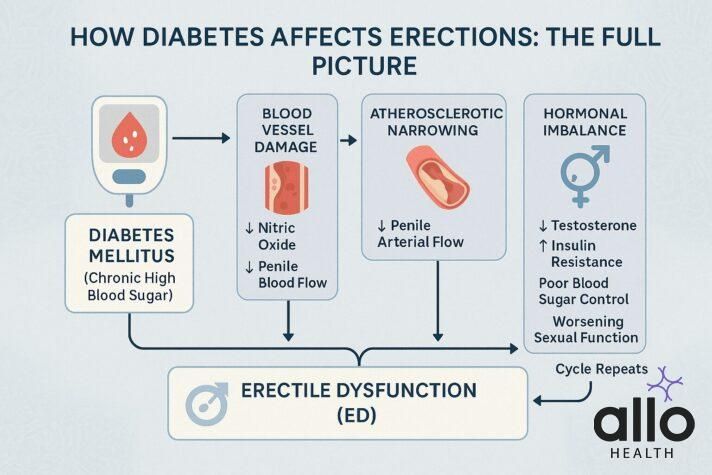 Impotence And Diabetes infographic explaining how high blood sugar damages blood vessels and hormones, leading to erectile dysfunction.