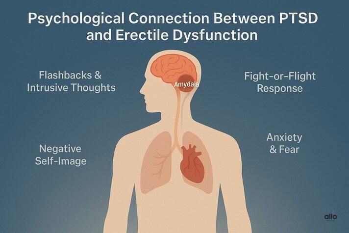 “3D medical illustration showing how PTSD and erectile dysfunction are linked through stress, anxiety, and emotional triggers in the brain.”