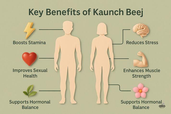 Kaunch Beej ke fayde dikhata hua infographic — stamina, sexual health, stress relief, aur hormonal balance ke labh ke saath.
