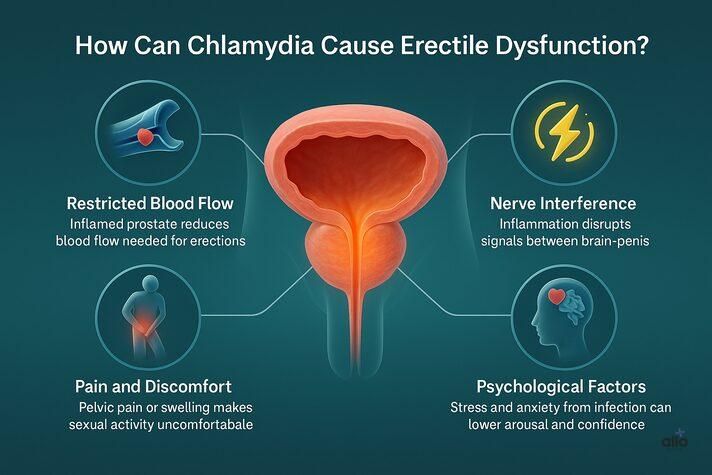 3D medical infographic explaining can chlamydia cause erectile dysfunction through restricted blood flow, nerve interference, pain, and psychological factors, with icons and prostate illustration.