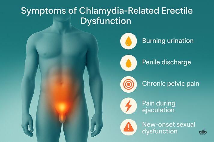 3D realistic infographic illustrating symptoms related to can chlamydia cause erectile dysfunction, highlighting the urethra, testicles, and prostate with icons for burning urination, discharge, and pelvic pain.