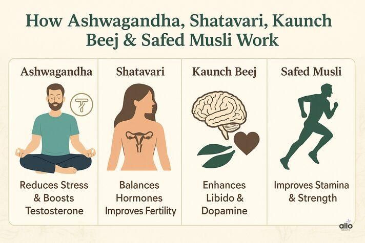 Ashwagandha, shatavari, kaunch beej aur safed musli ke benefits – stress kam kare, hormones balance kare, libido aur stamina badhaye.