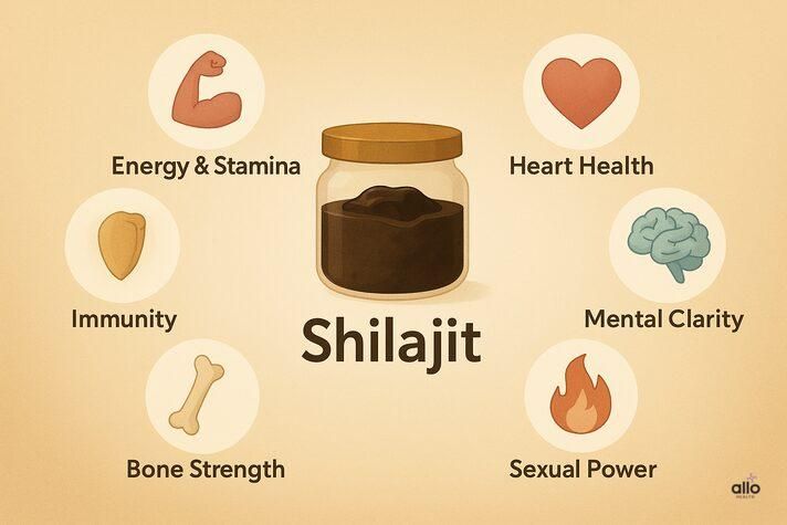 Shilajit ke fayde – Energy &#x26; Stamina, Heart Health, Mental Clarity, Sexual Power, Bone Strength aur Immunity badhata hai.