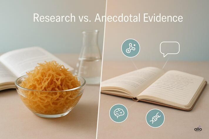 Sea moss bowl beside a split panel with lab journal and testimonial diary, comparing research and personal claims about sea moss erectile dysfunction.