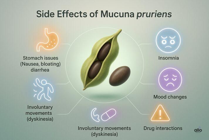 Infographic of Mucuna pruriens for erectile dysfunction showing possible side effects including nausea, insomnia, mood changes, dyskinesia, and drug interactions.