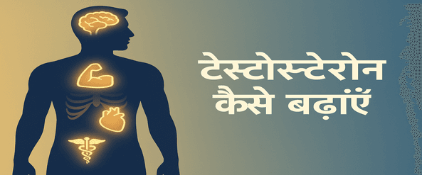 टेस्टोस्टेरोन हार्मोन कैसे बढ़ाये