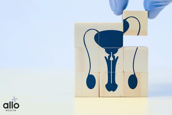 What Does Priapism Mean?