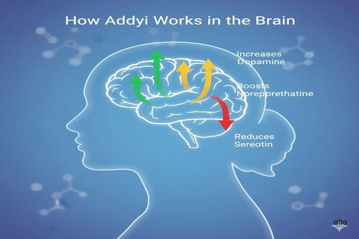 addyi brain me kaise kam karti hai