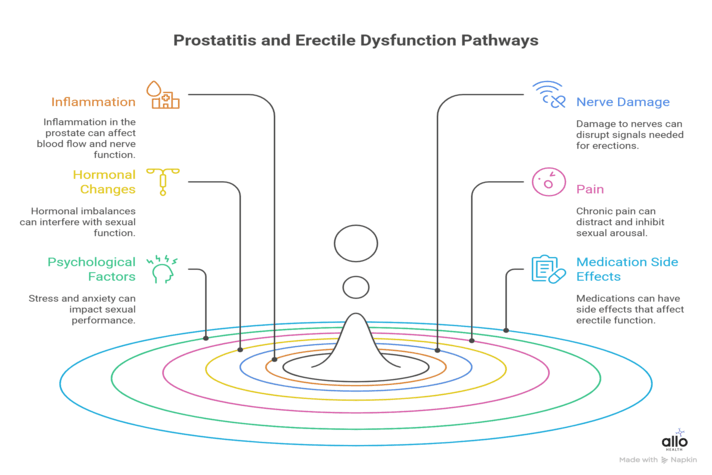 infographic showing how prostatitis affects ed in prostatitis erectile dysfunction