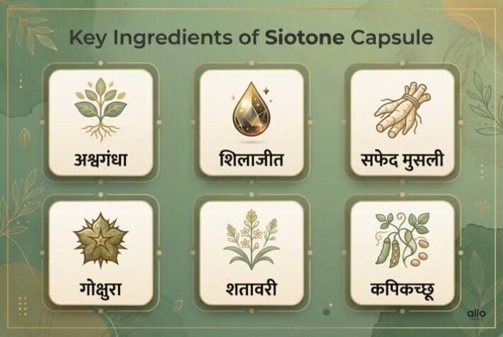 Siotone capsule ke mukhya Ayurvedic ingredients ka infographic.