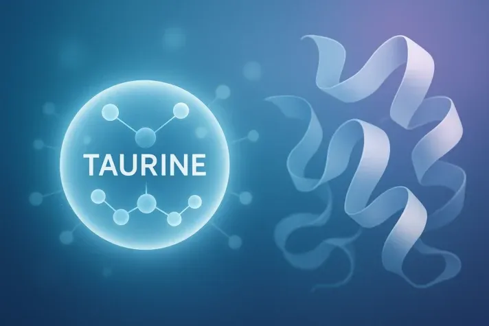 Scientific illustration of taurine molecule with glowing structure on the left and protein chain ribbon on the right, symbolizing taurine as an amino acid building block.&#x22;