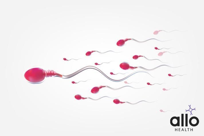 Semen Culture Test: How Does It Help With Sexual Health? Blood In Semen After Masturbation