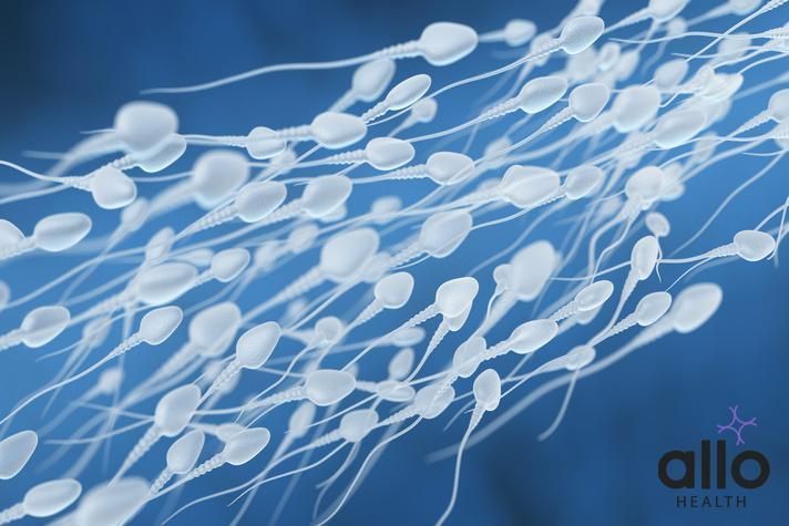 does having sex everyday decrease your sperm count. sperm cramps meaning in hindi Sperm Survival Outside Body