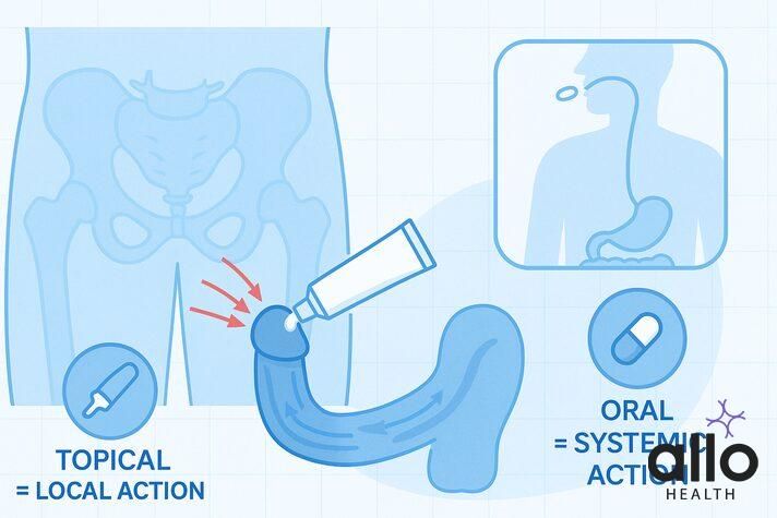 Medical illustration explaining best creams for erectile dysfynction, showing topical ED cream applied directly to the penis for local action compared with oral ED pills that act systemically through the bloodstream.