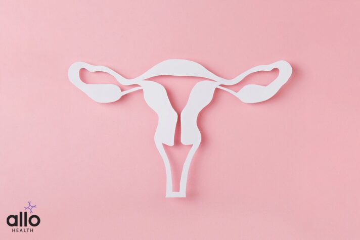 Female Reproductive System